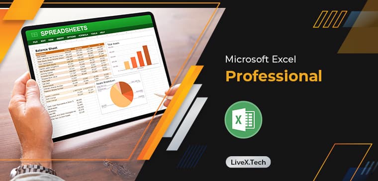 Microsoft Excel for Professionals